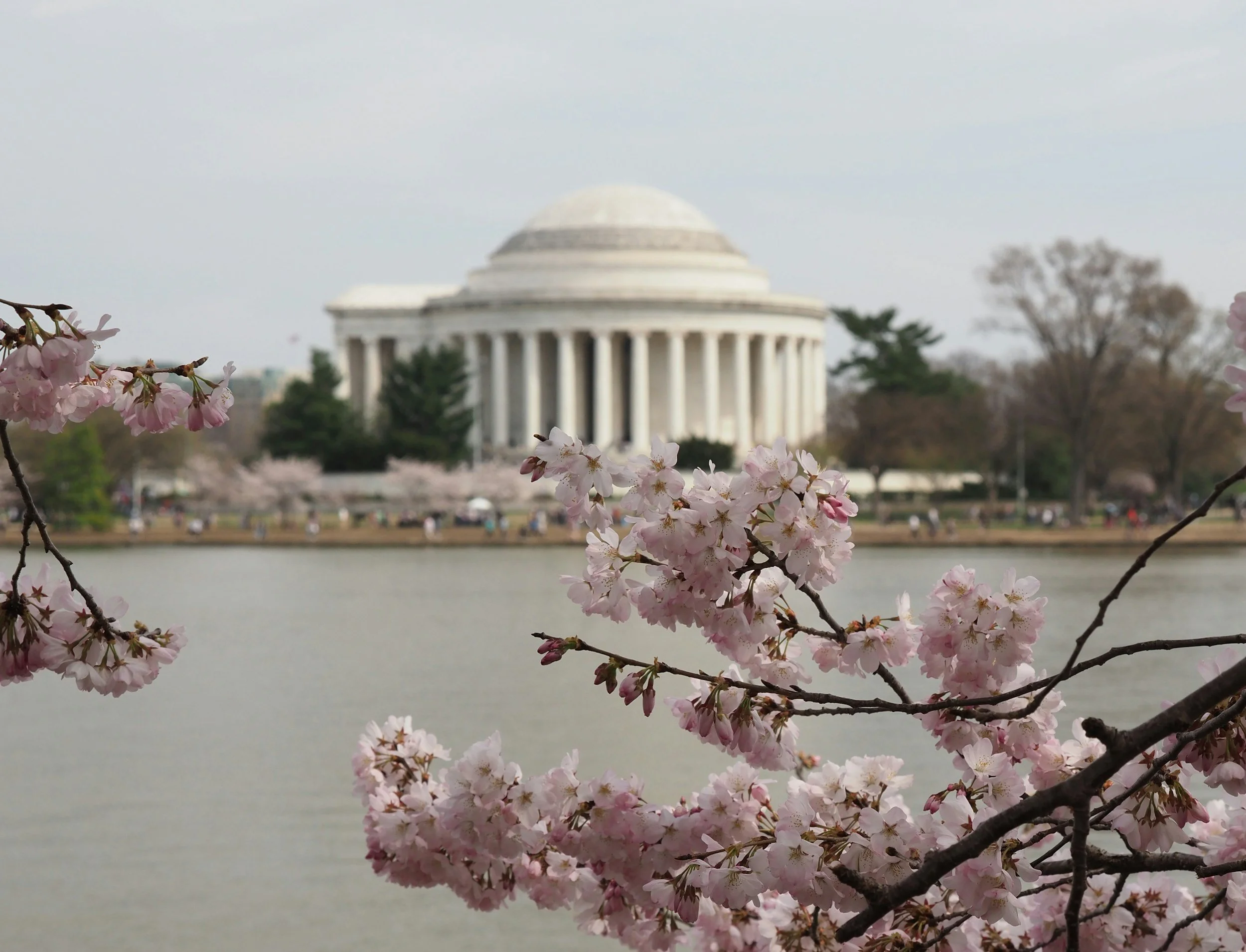 Spring Travel Ideas: Destinations to Visit Across the U.S.&nbsp;