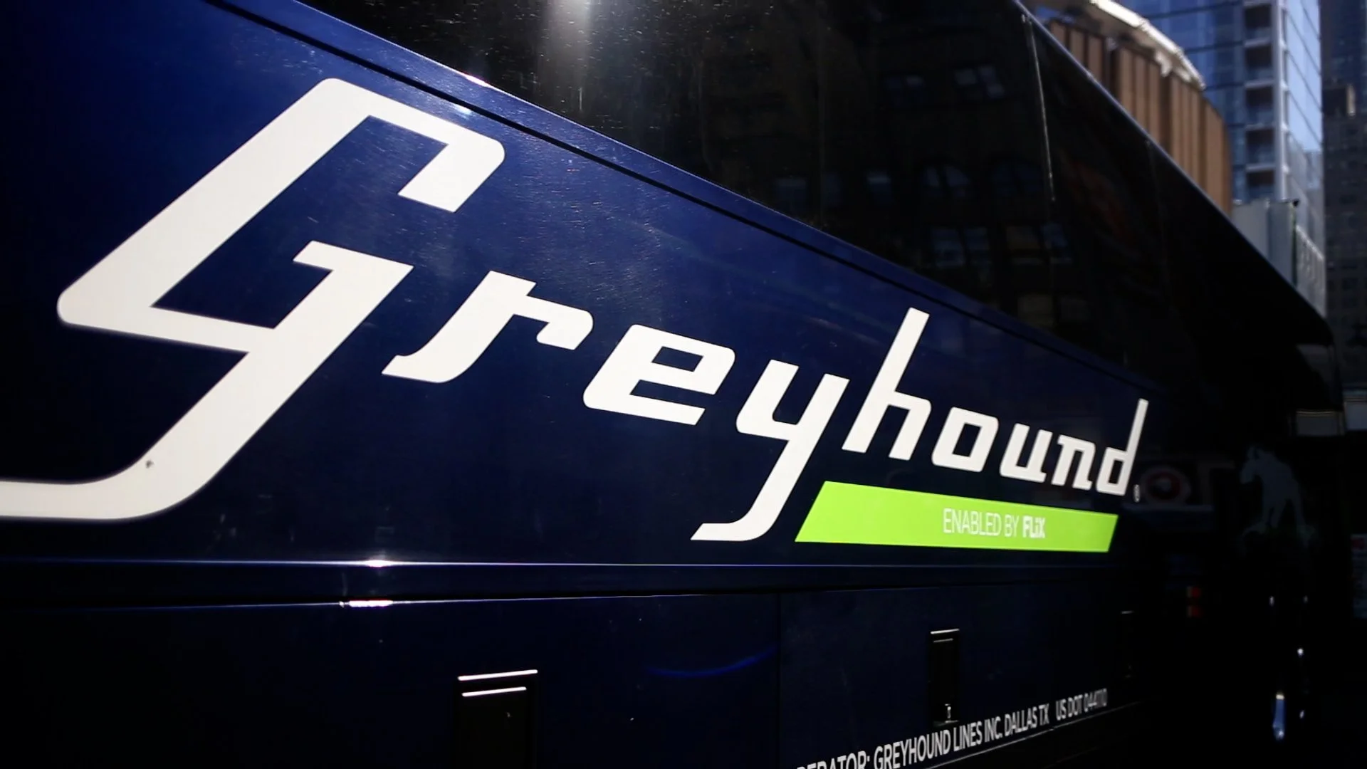 New Bus (2024) 17