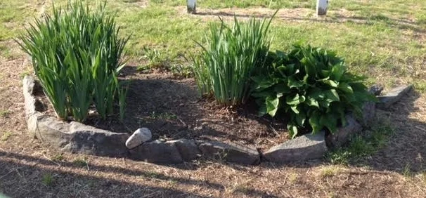 springtime.jpg