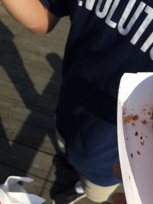 What remains of those two Gastros sausages