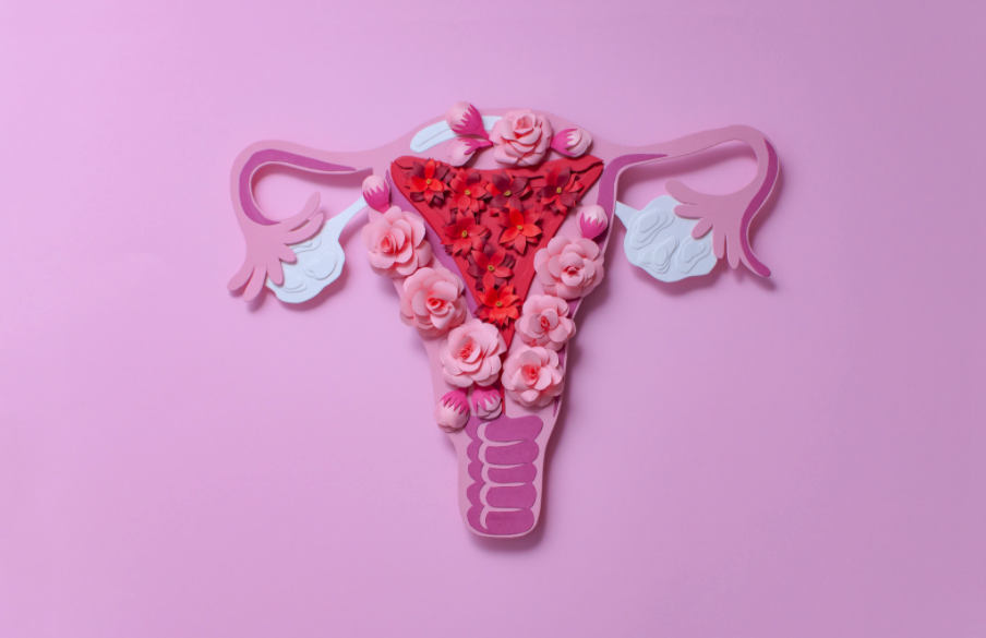 Menopause and You | A guide to going through women’s aging cycle gracefully