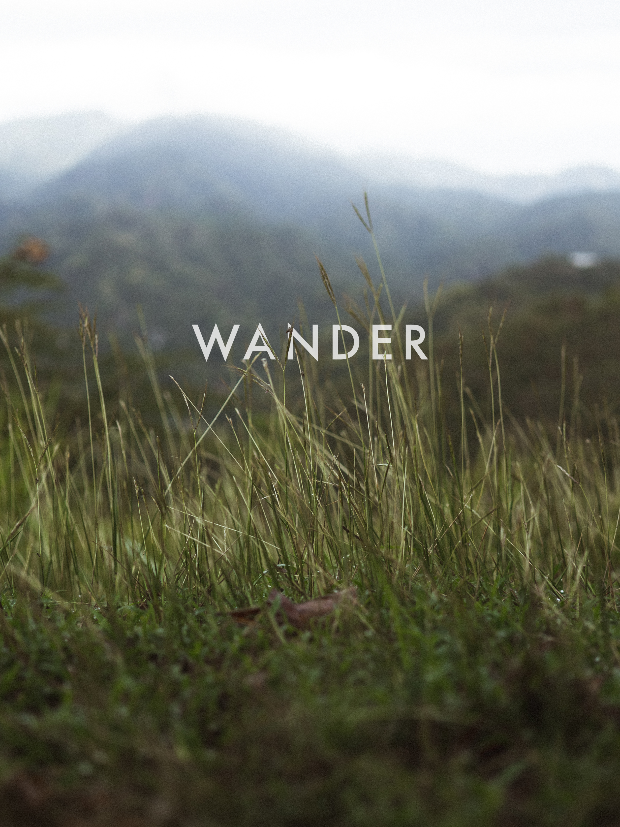 WANDER.png
