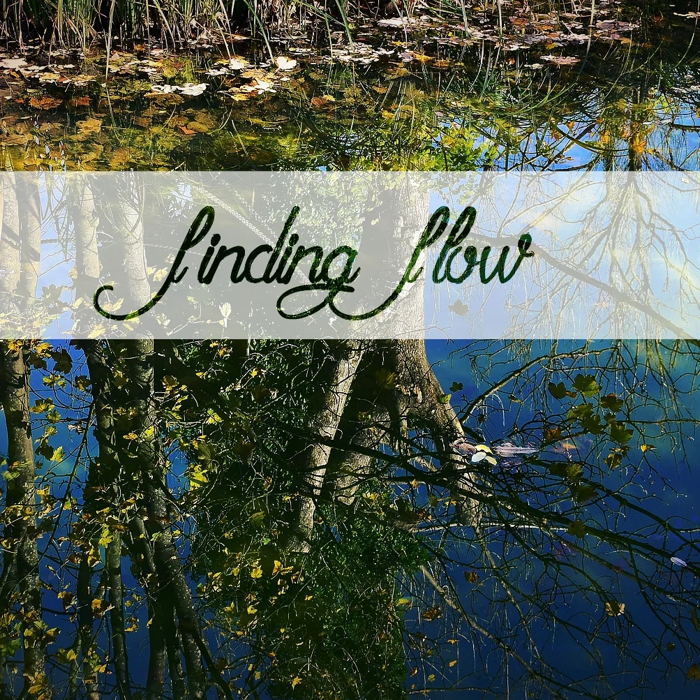 Finding Flow