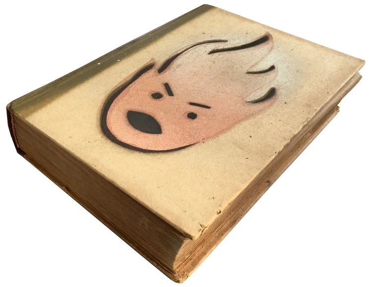 little_book_of_fires_front.jpg