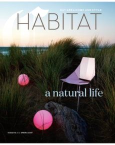 Allison Caccoma Cover Habitat .png