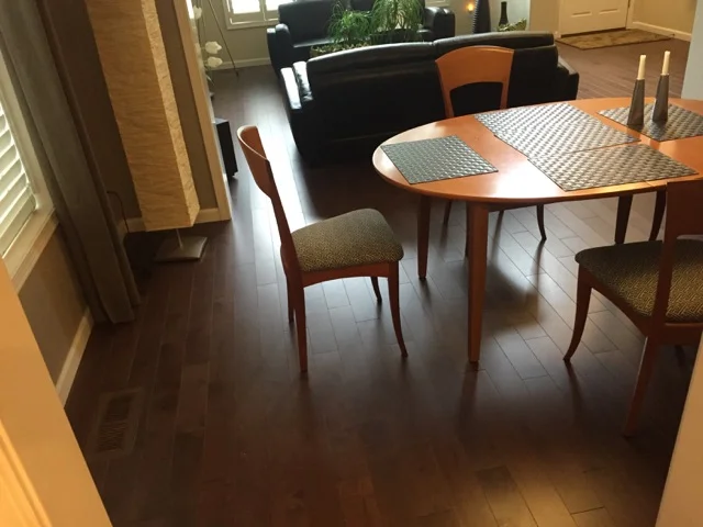 Mirage Maple Umbria