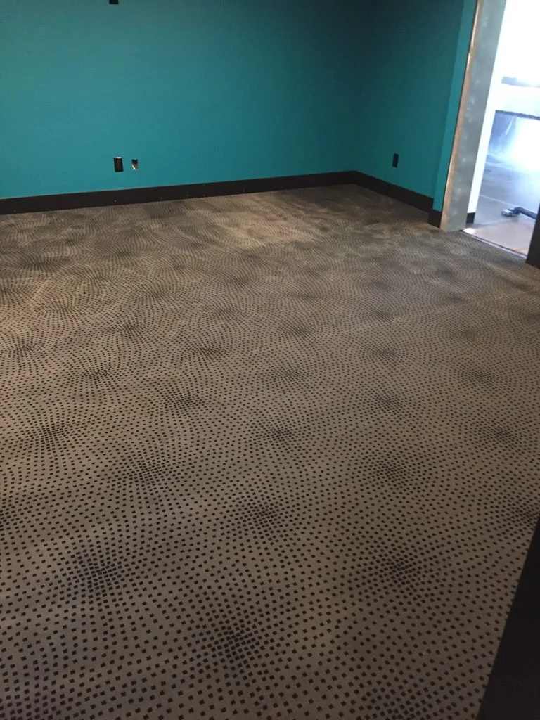 Kane Carpet installed in Media Room