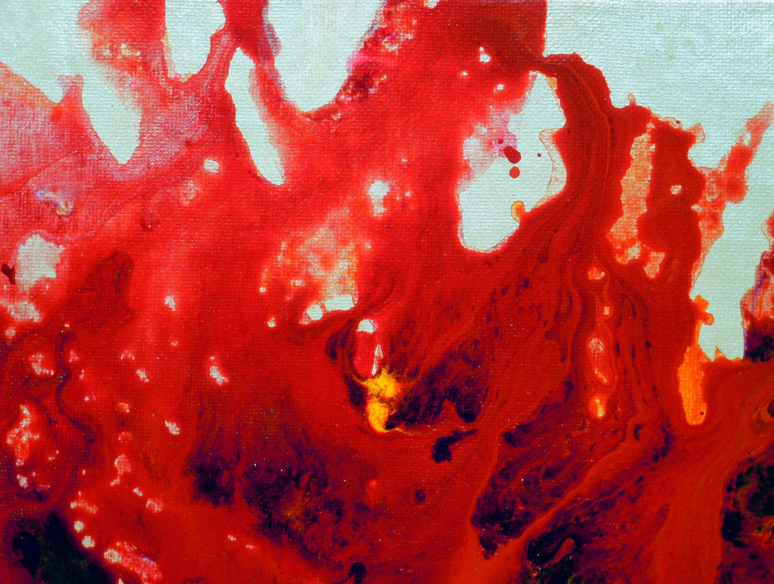 Red Floral Abstract | Holly Anderson