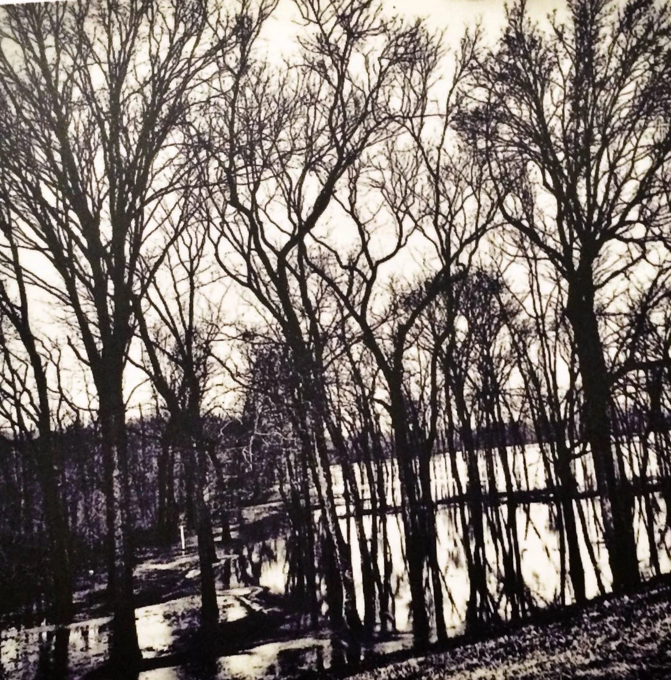 City Images V | Julie Johnson | Digital Photography | 5x7