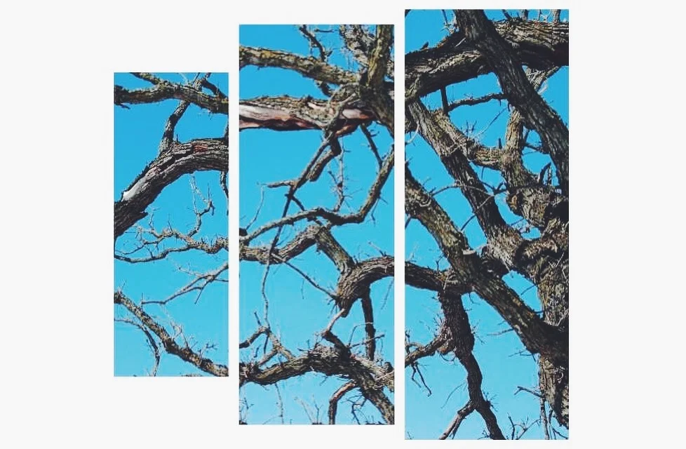 Winter | Tricia Coyle | Photography