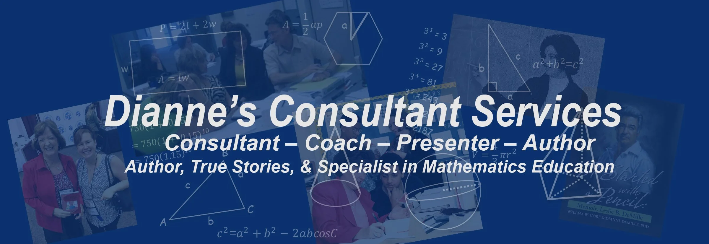 Banner Di's site NEW 1-2026.jpg