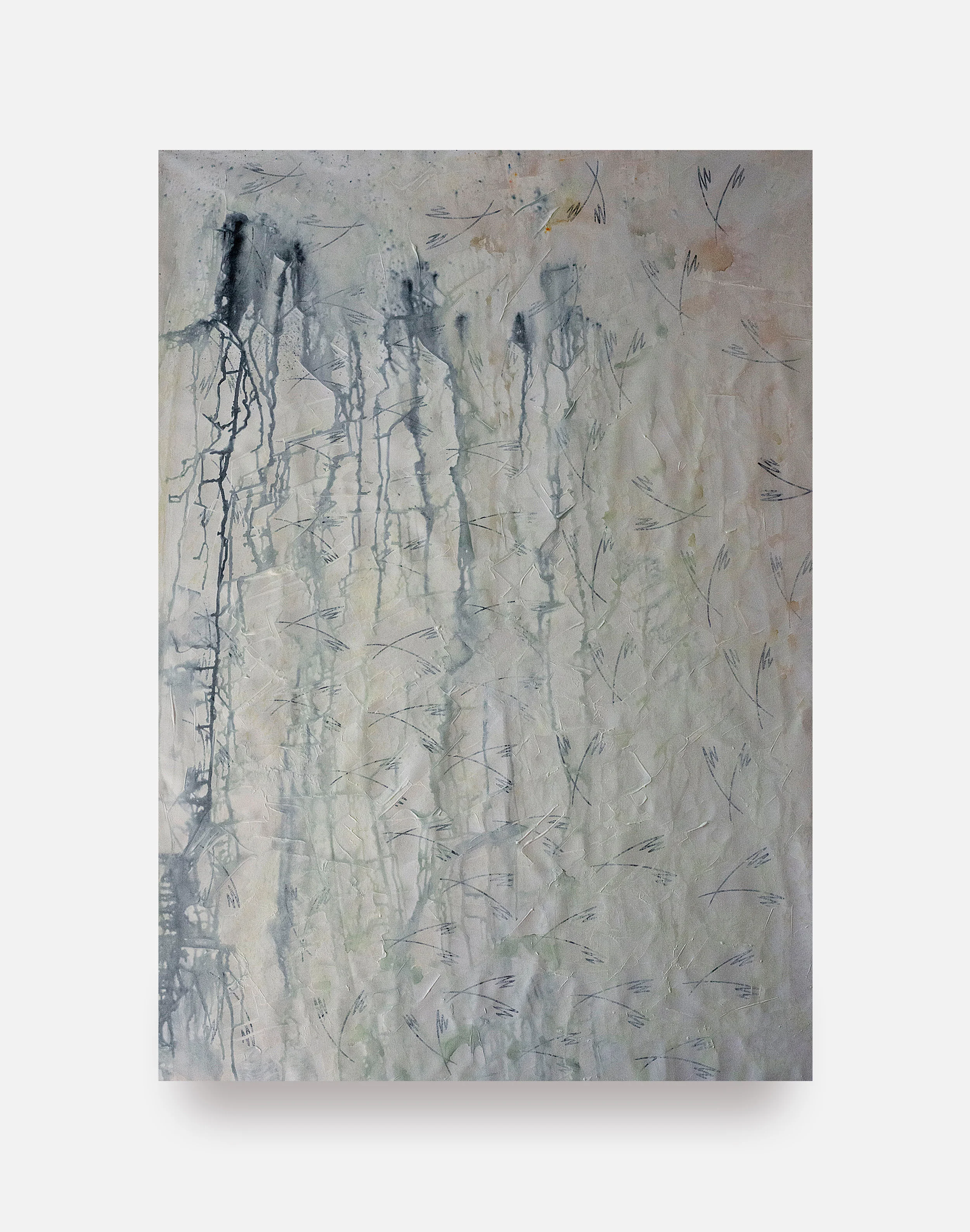 SUBDUED, 2019