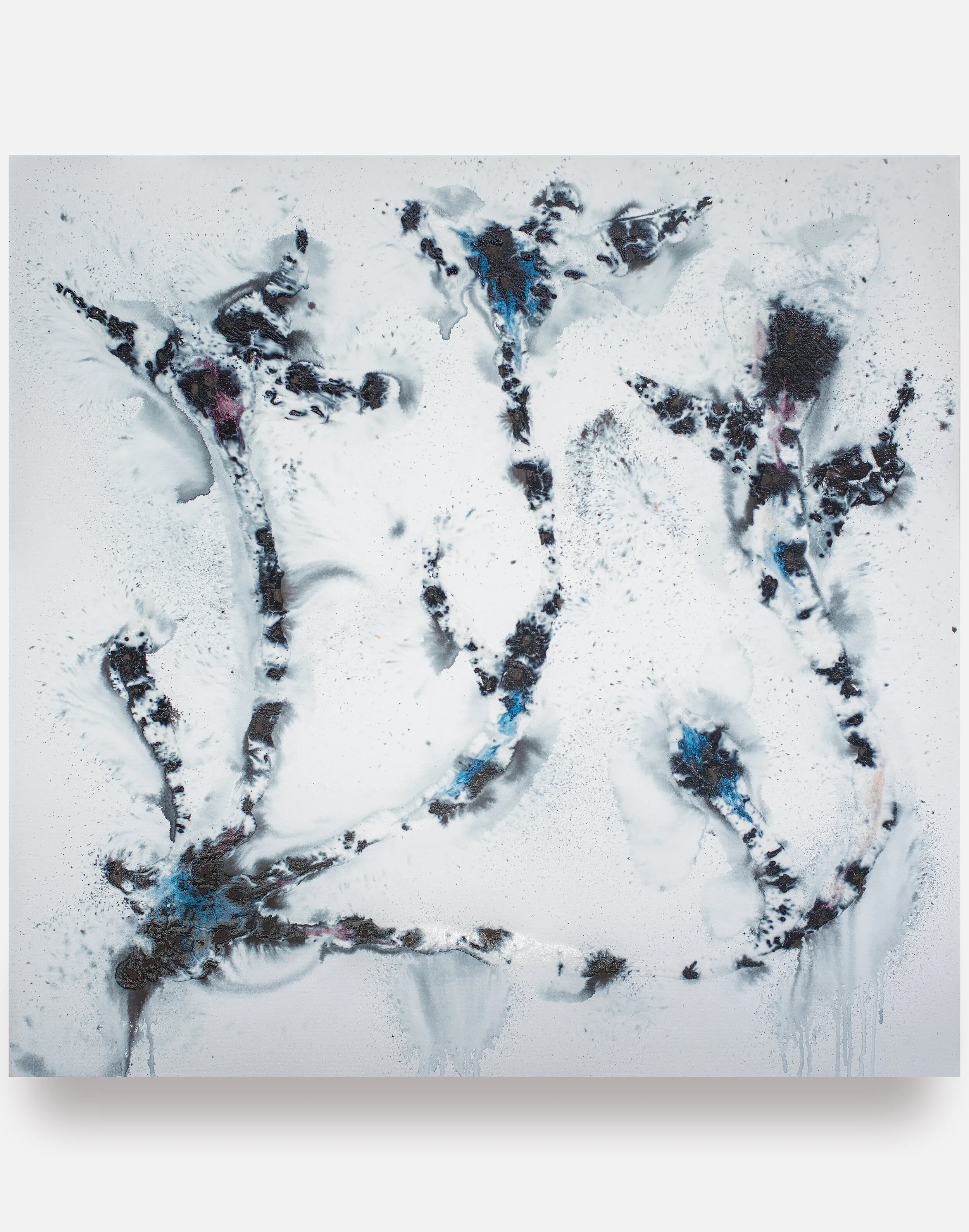 Life Form (11), 2019