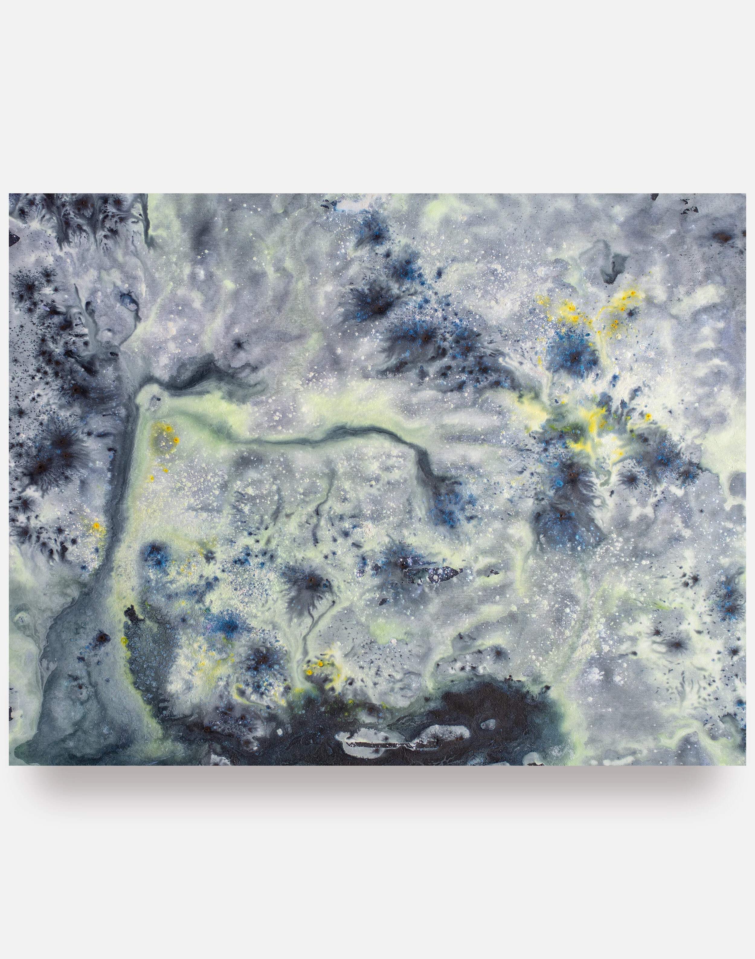 Environ (1), 2019