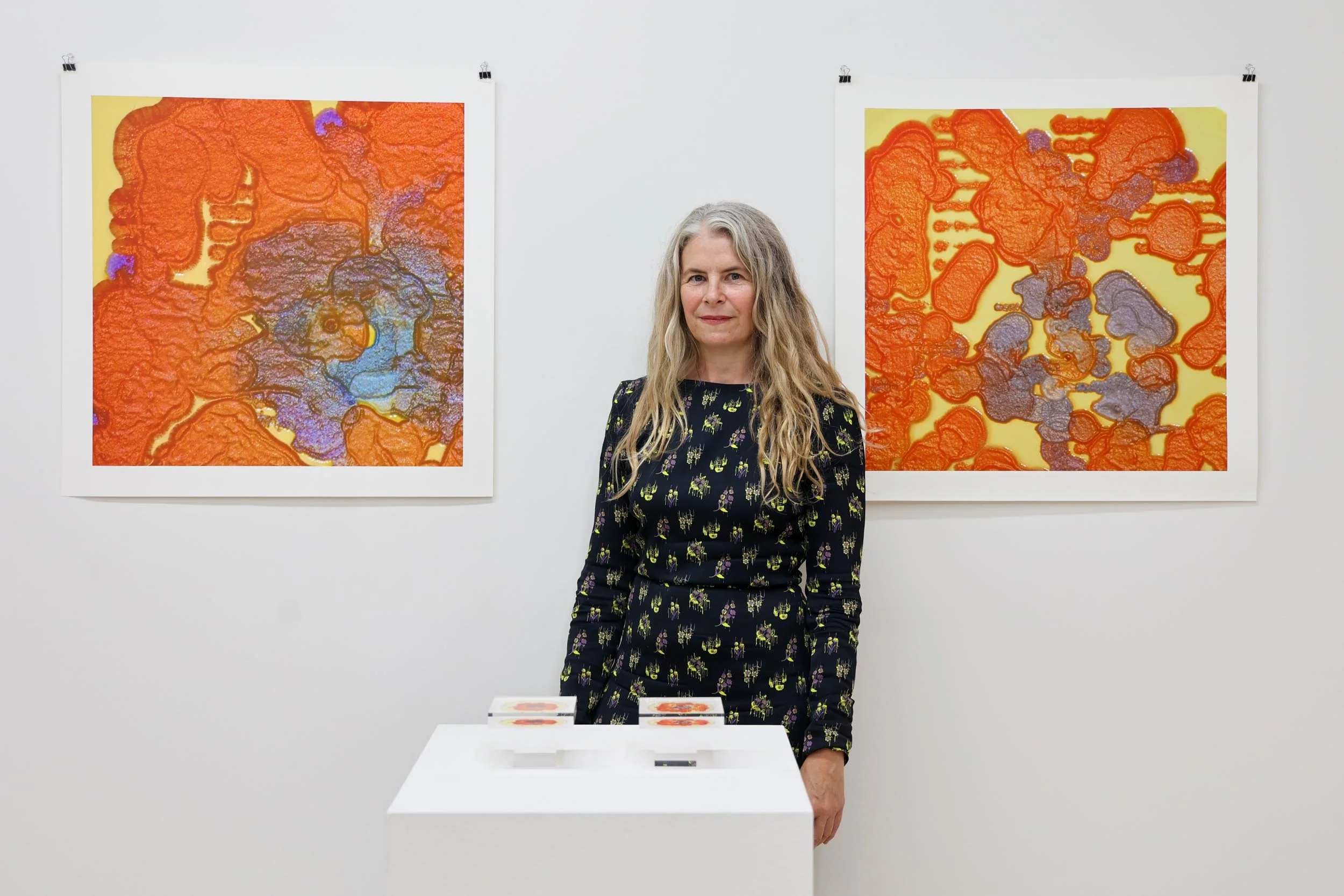 Artist-in-Residence: Karen Ingram