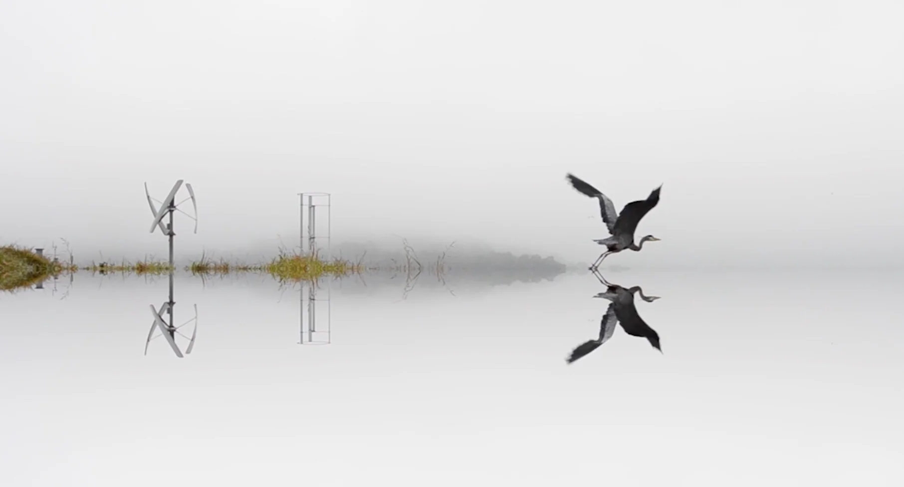 Wioleta Kaminska: Fog. And the Whole World Stops