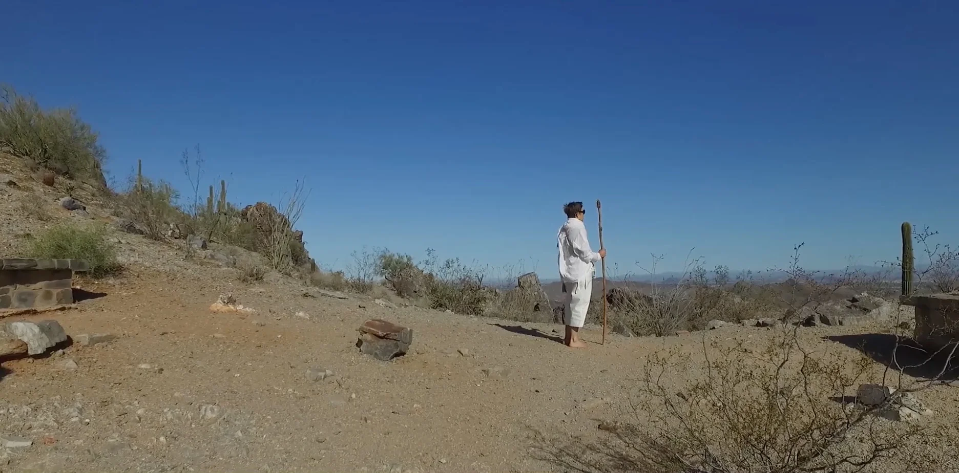 Adriene Jenik: BLAST RADIUS