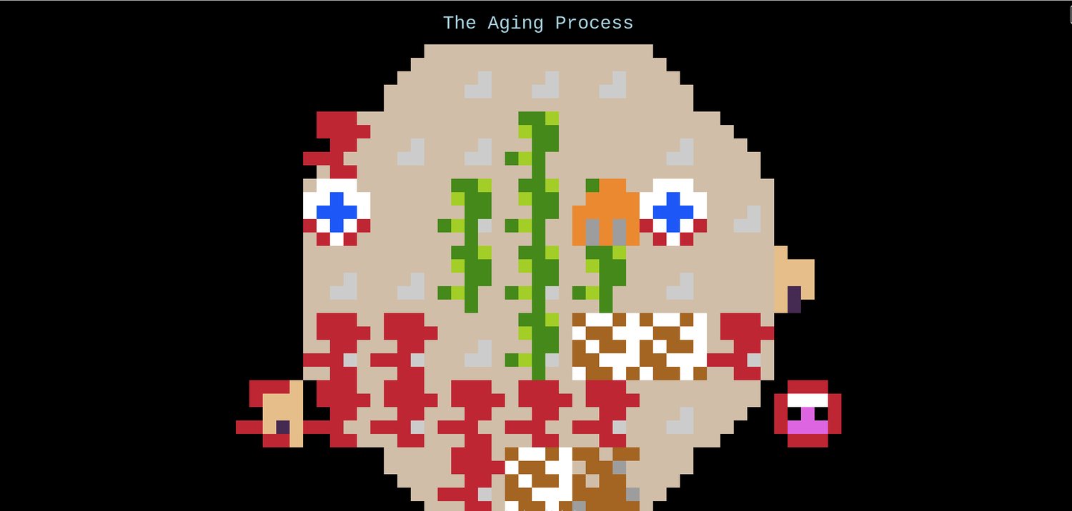 The Aging Process - screenshot