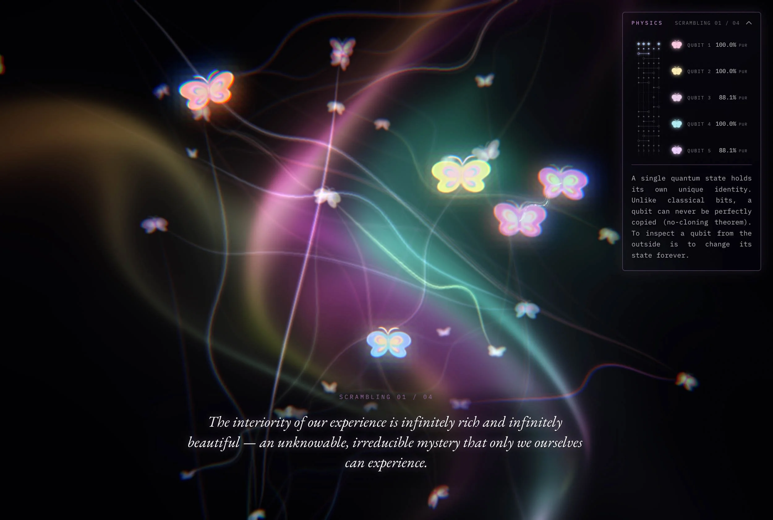 Xinyi Zhang: Quantum Butterfly Field