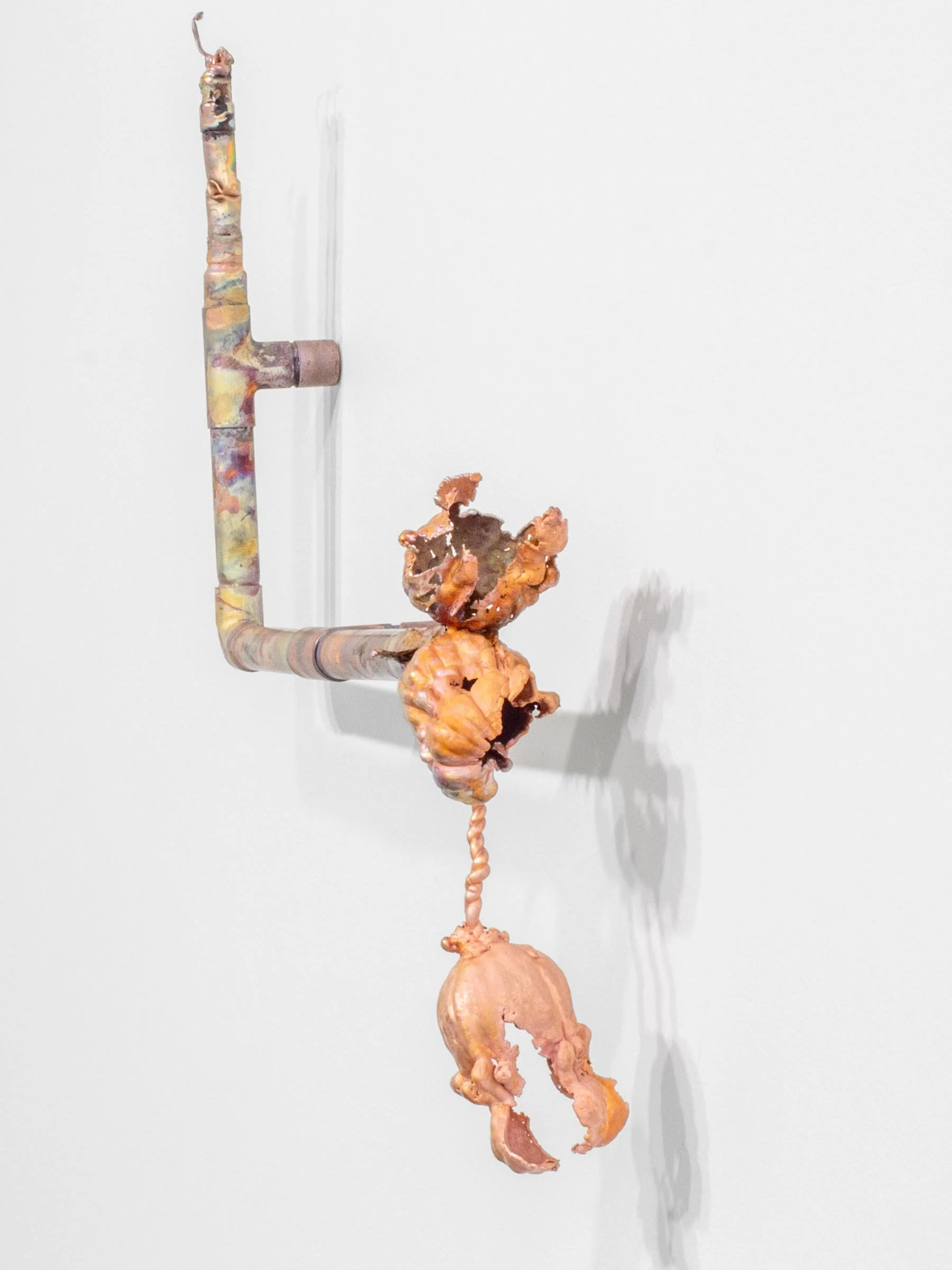 "Molting IV", 2025, Electroformed copper, pipe, 23” x 21” x 4”