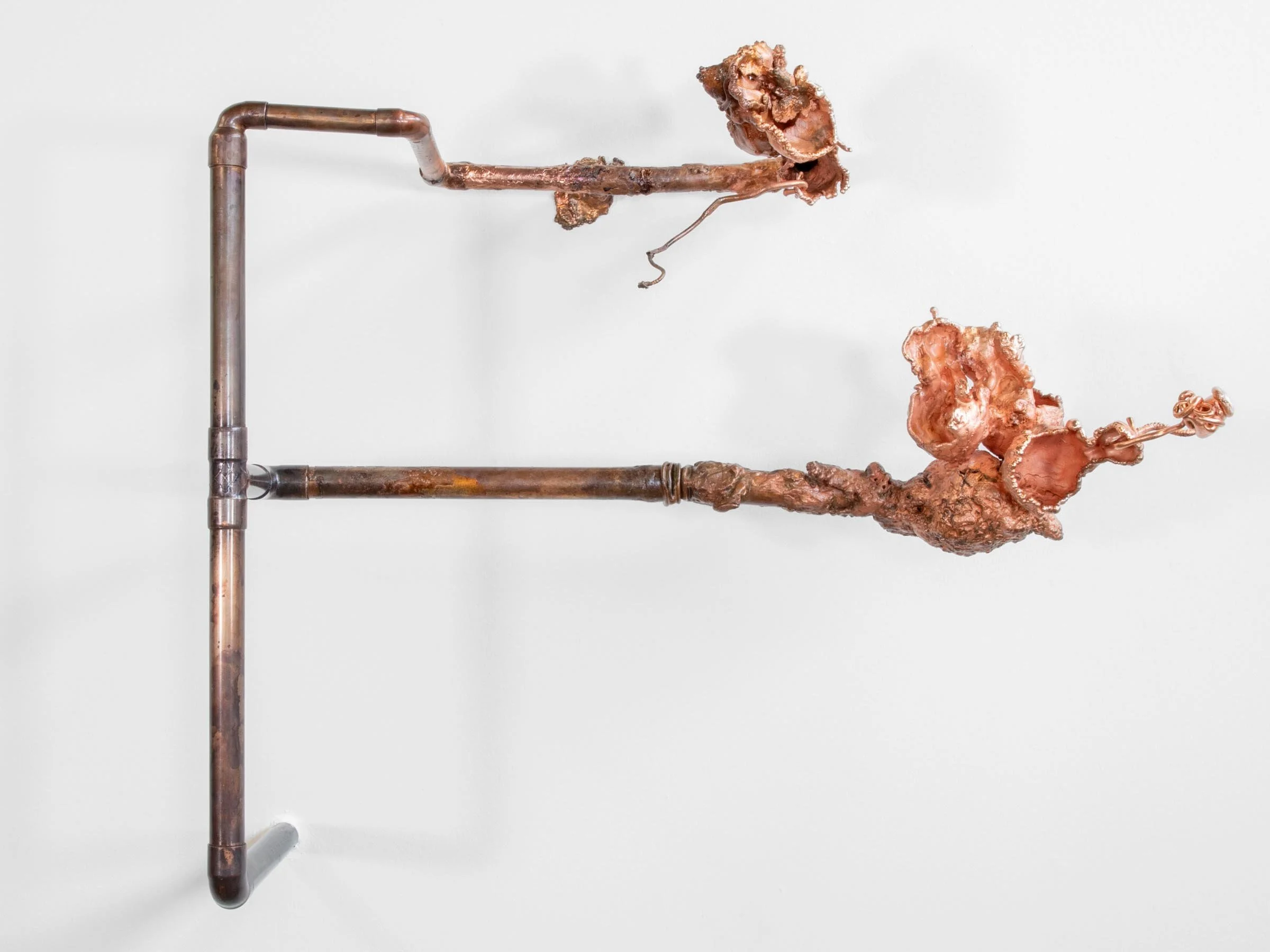 "Molting III", 2025, Electroformed copper, pipe, 26” x 20” x 8”