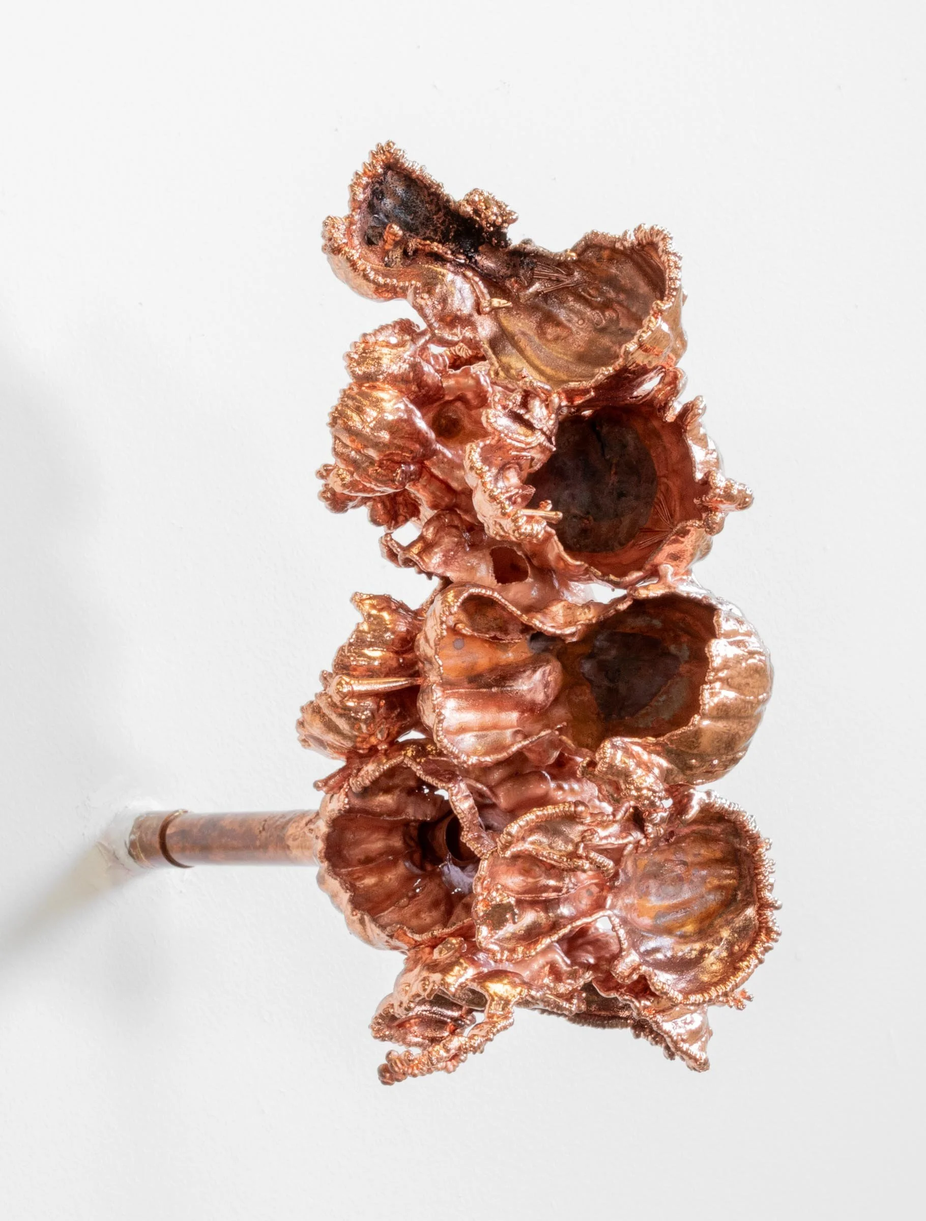 "Molting I", 2024, Electroformed copper, pipe, 9” x 12” x 6”