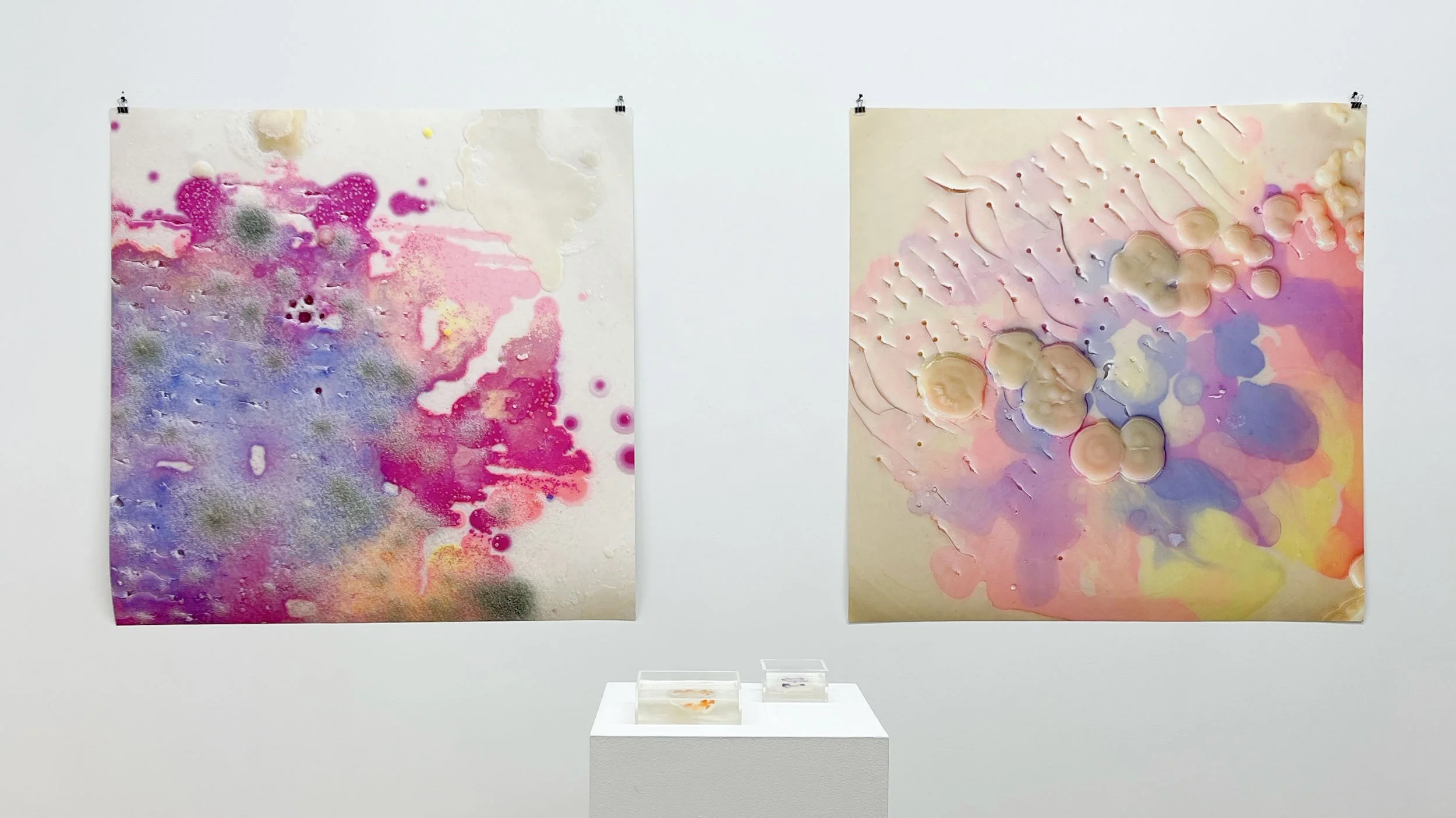 August A.I.R. Open Studio