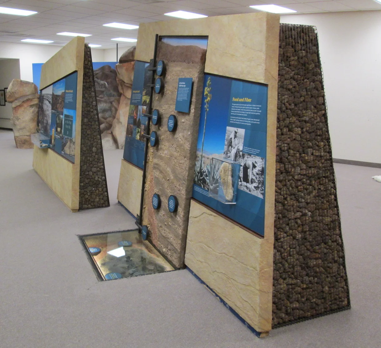 IMG_2642 cropped.jpeg