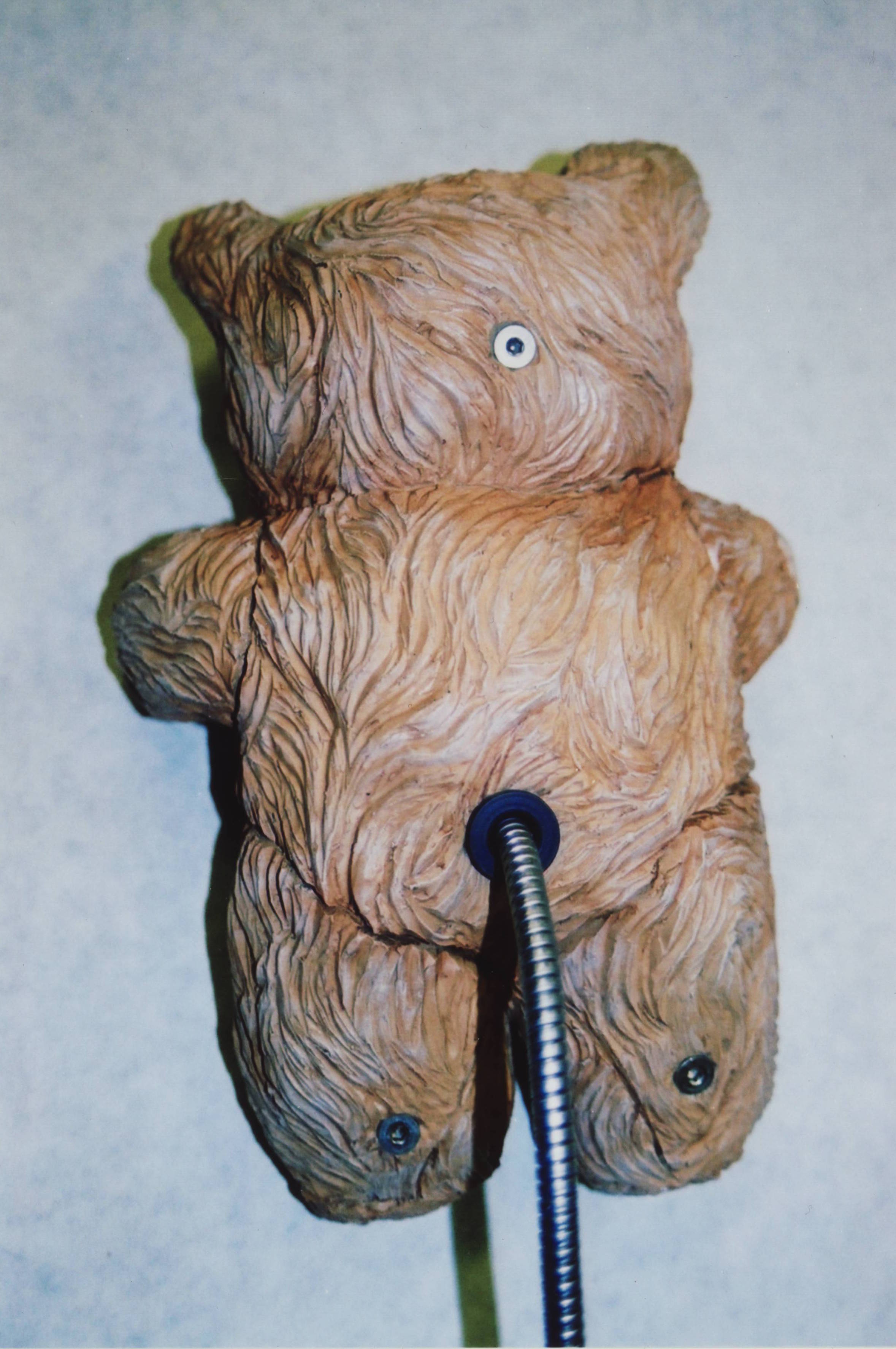 bear.3.JPG