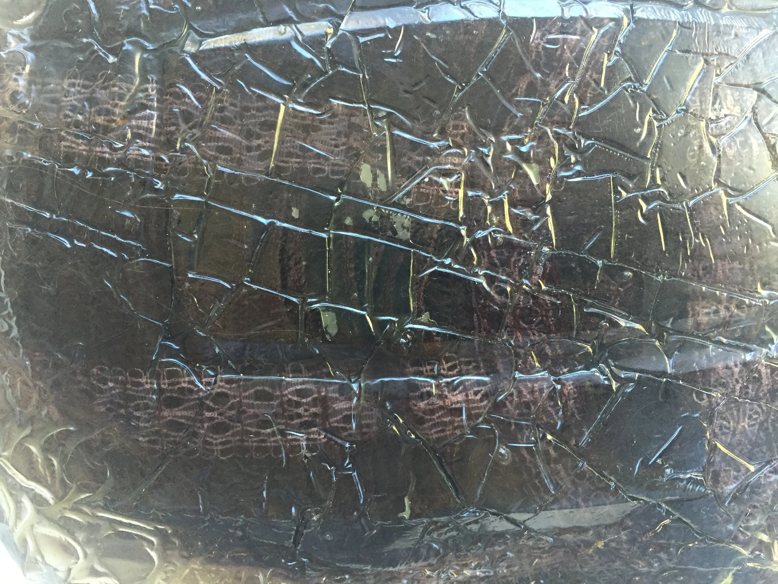 Rooftop Access.10.IMG_9304.JPG