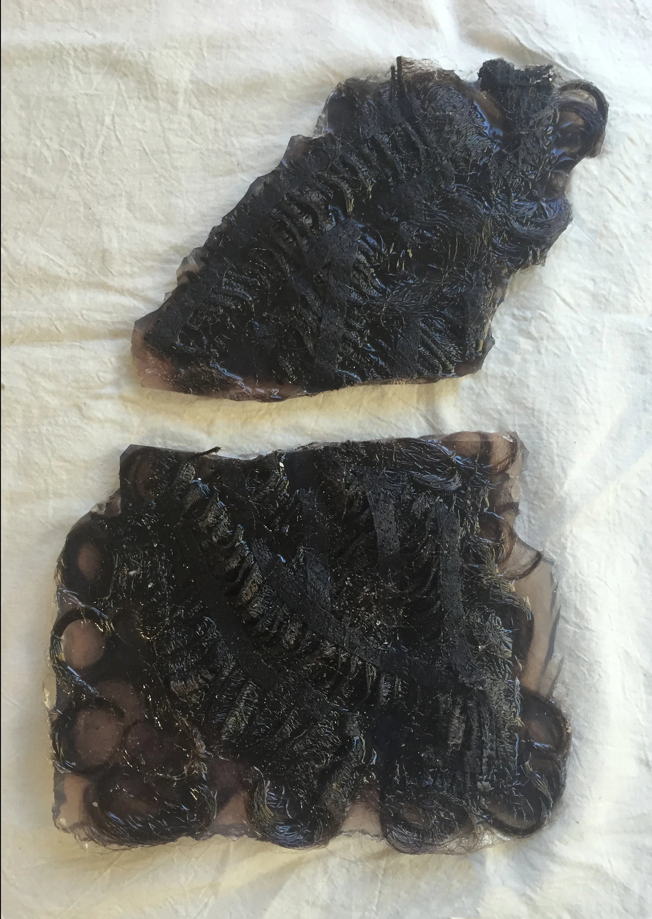 Prelude to a Wiglet.1.IMG_9315.JPG