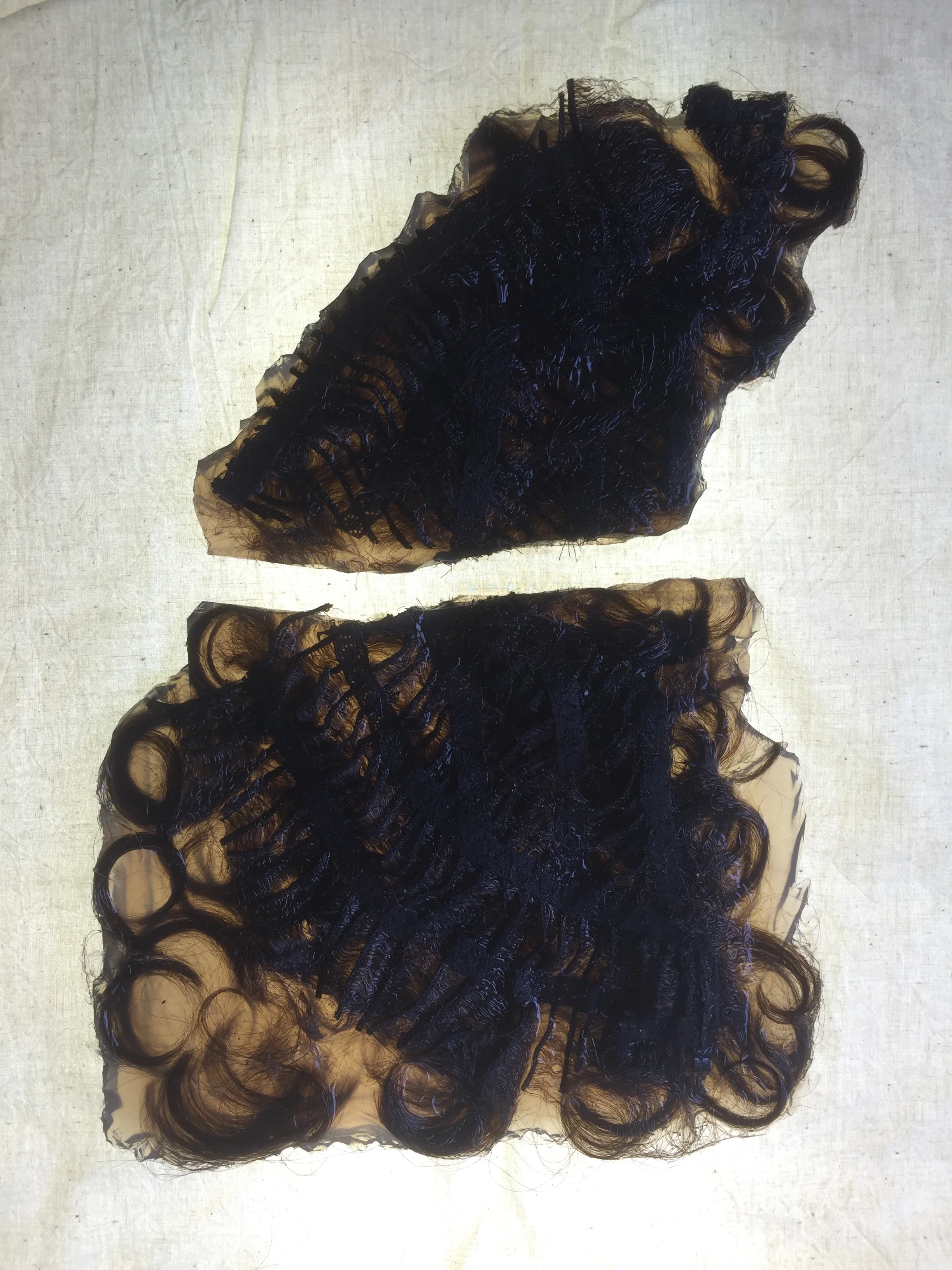 Prelude to a Wiglet.3.IMG_9438.JPG