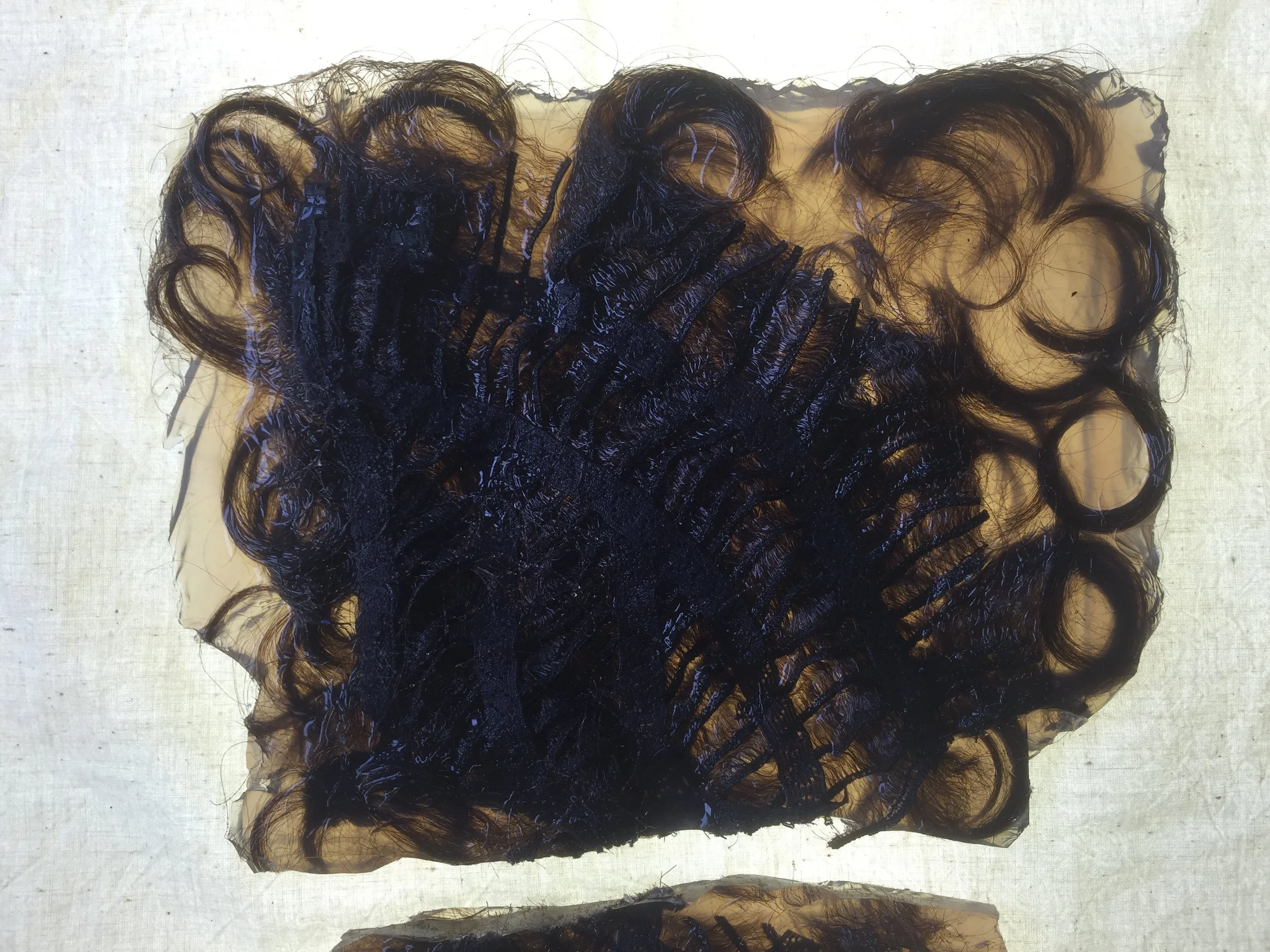 Prelude to a Wiglet.6.IMG_9440.JPG