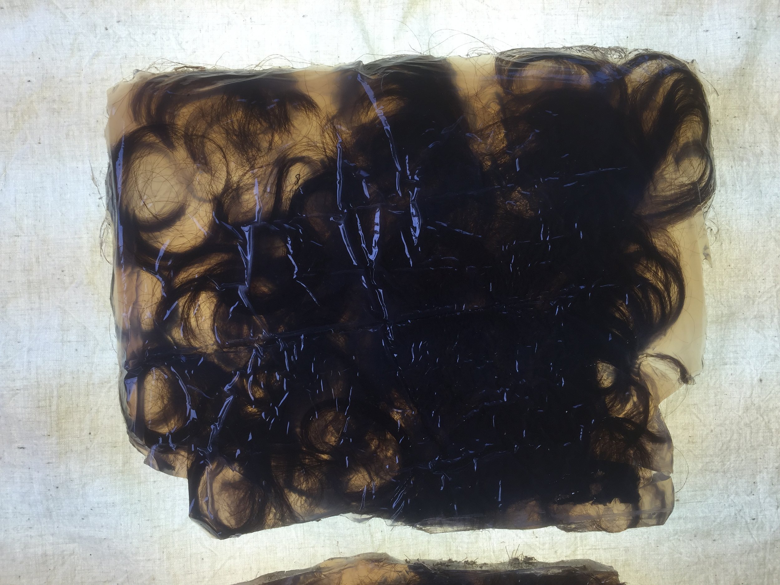 Prelude to a Wiglet.7.IMG_9448.JPG