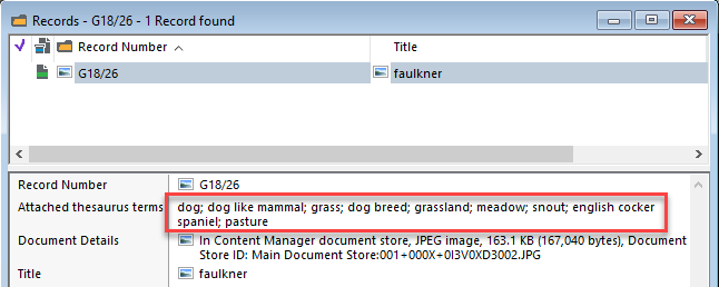 Automatically generated keywords, provided by the Vision API