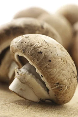 (Yes)vember Day 4: Stroganoff Stuffed Mushrooms 