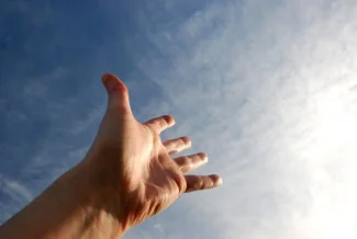 don't pet the snakes