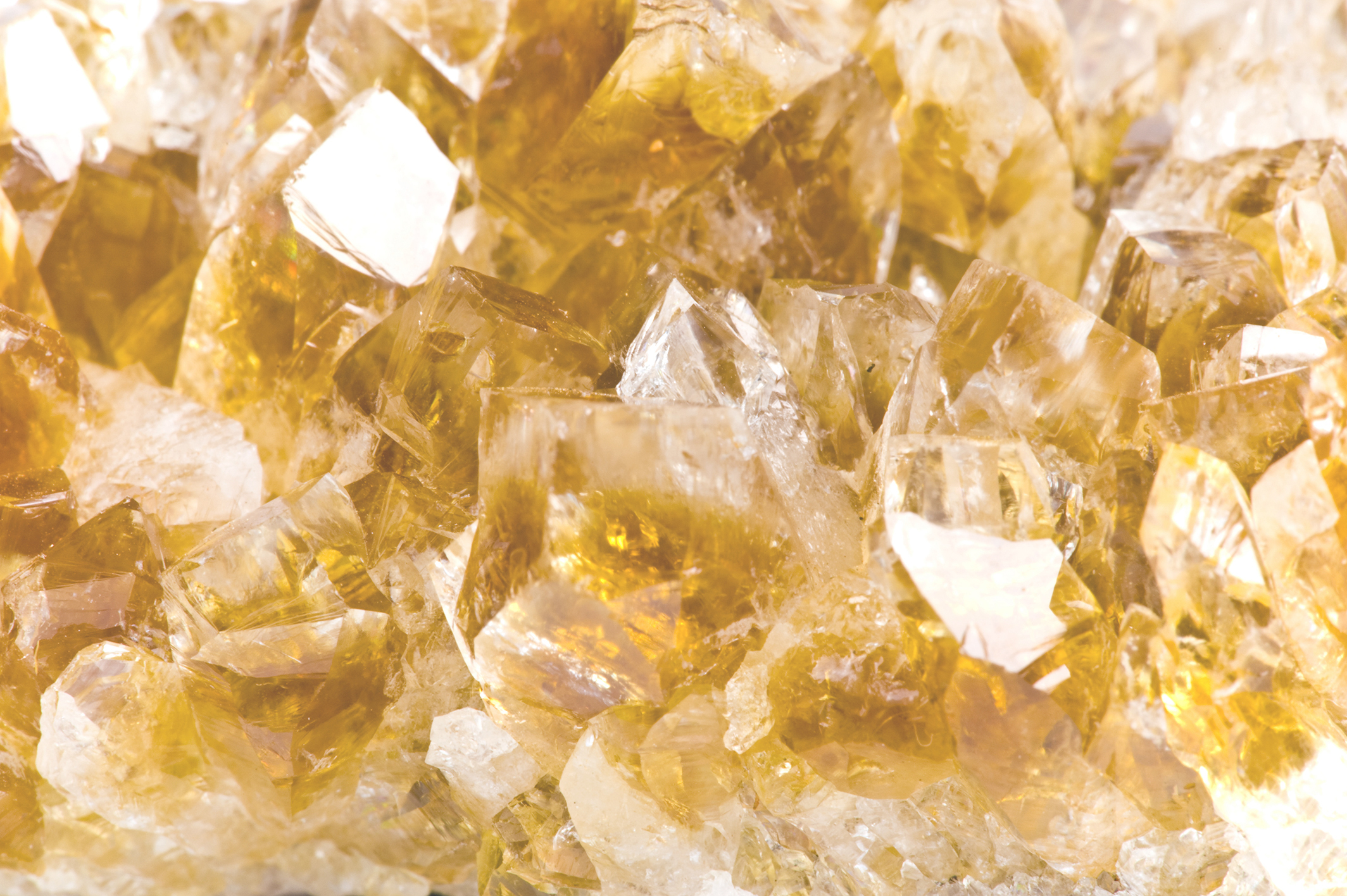 amy-mitchell-woowooheat-citrine.jpg