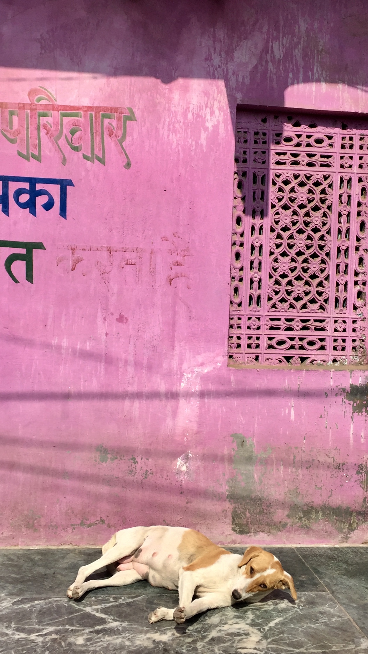 Pushkar.jpg