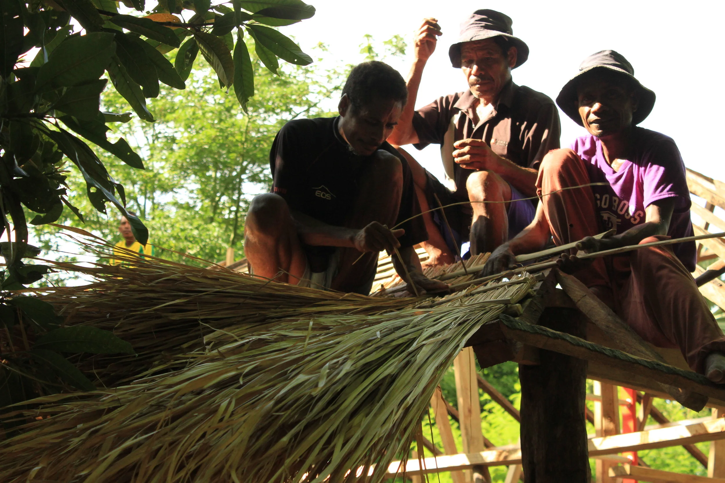 Traditional Timorese roofing method.