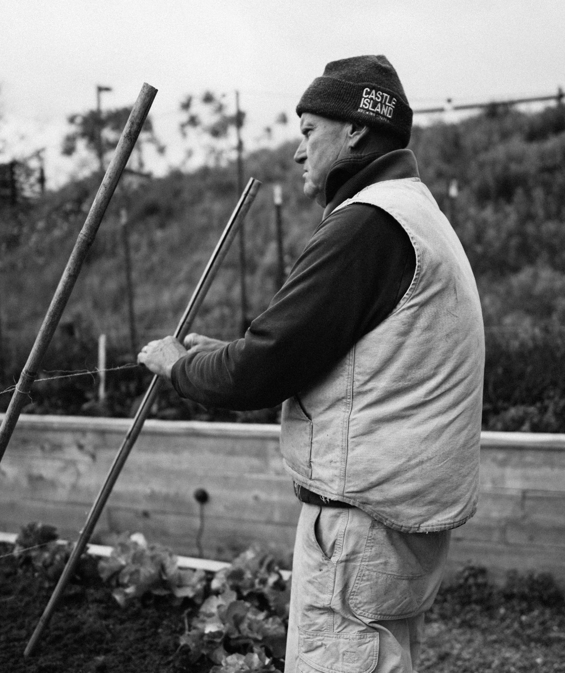 Screenshot 2025-11-08 at 1.19.22 PM.png