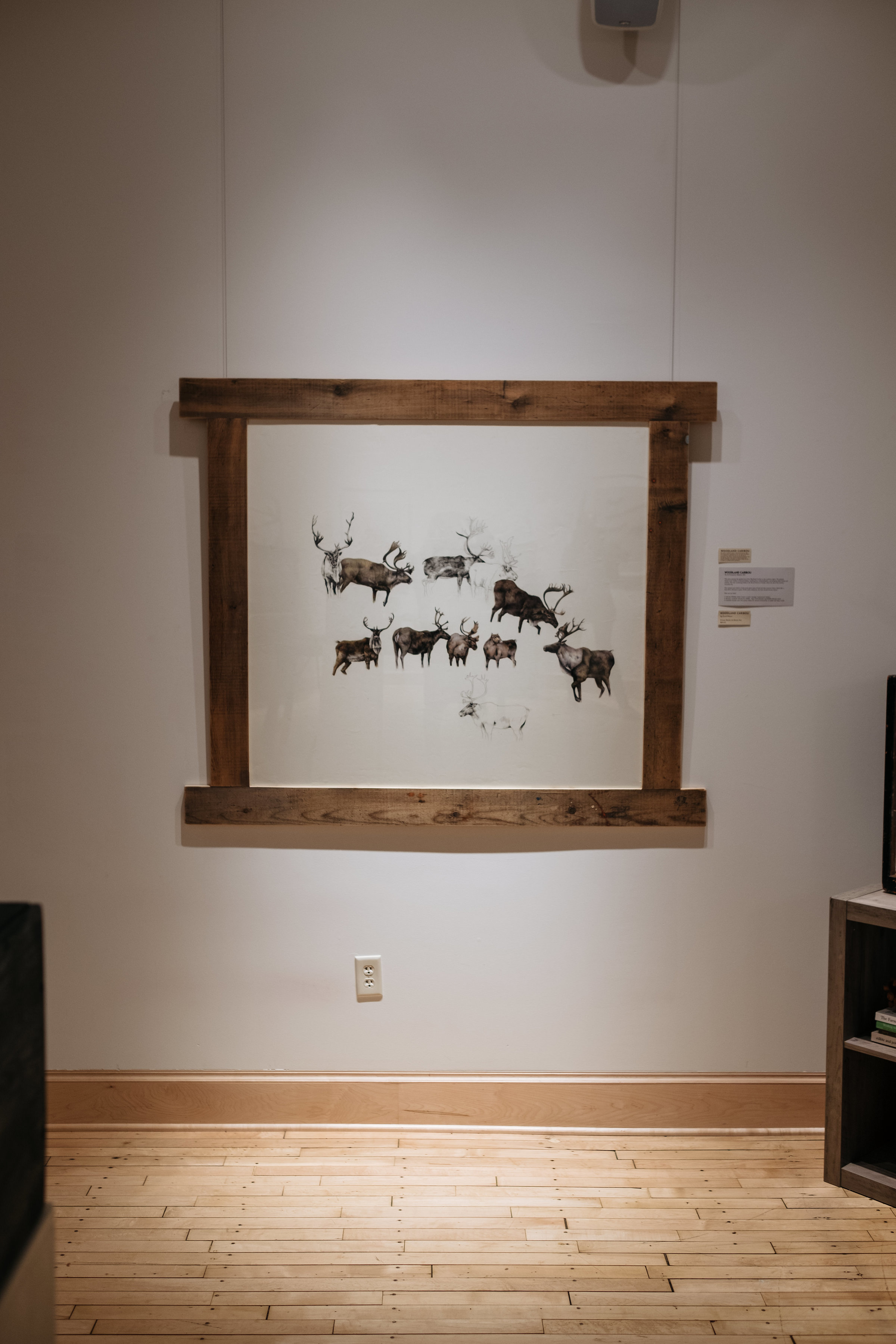 SARAH NELSON ART - CARIBOU.jpg