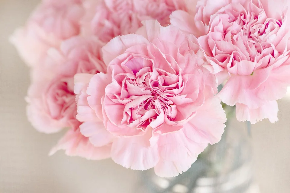 flowers-1325012_960_720.jpg