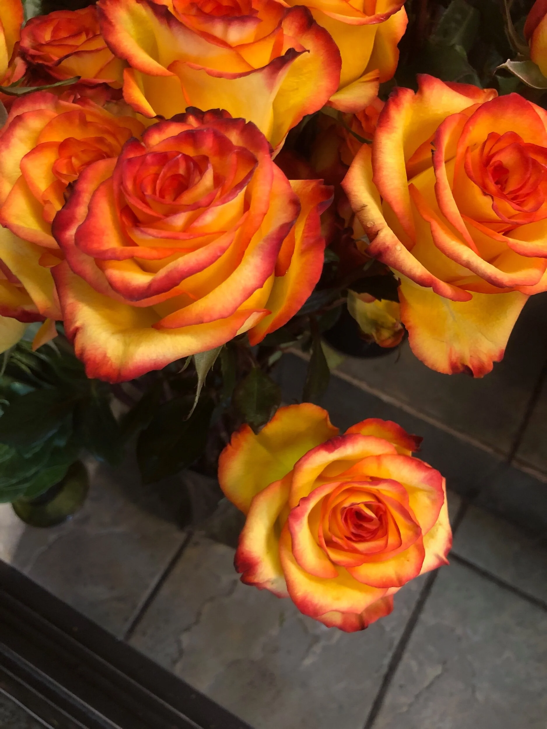 IMG_3915.jpeg
