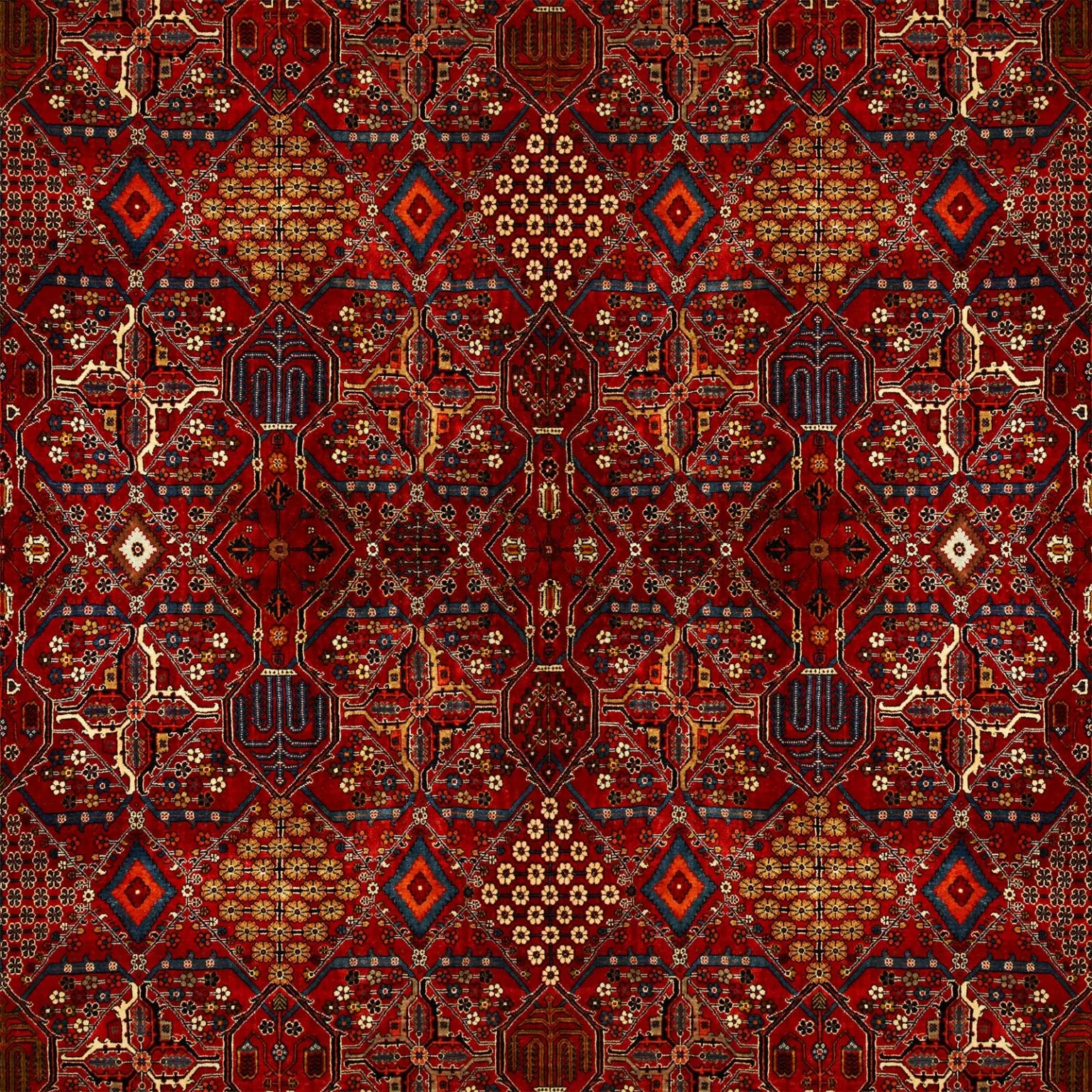 meymeh-final-wallpaper-1.jpg