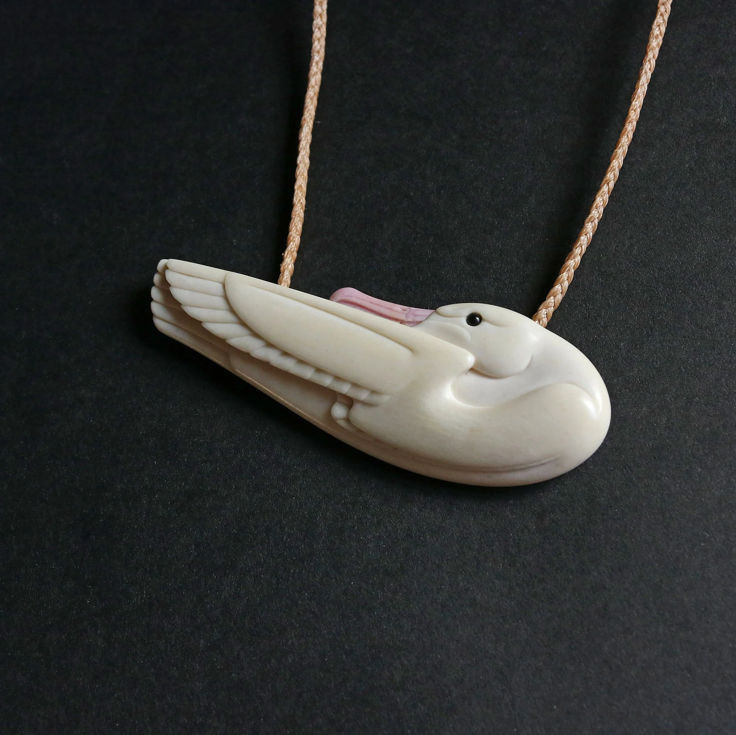 albatross8.jpg