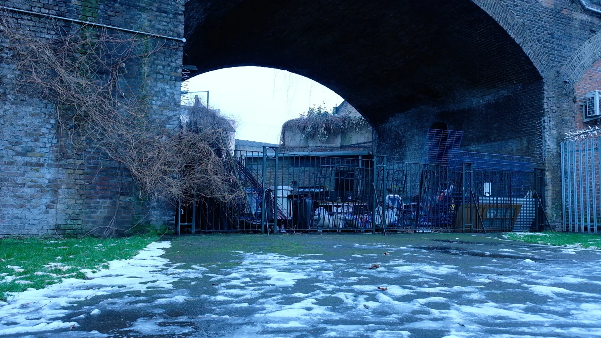 Provia 23.9fps