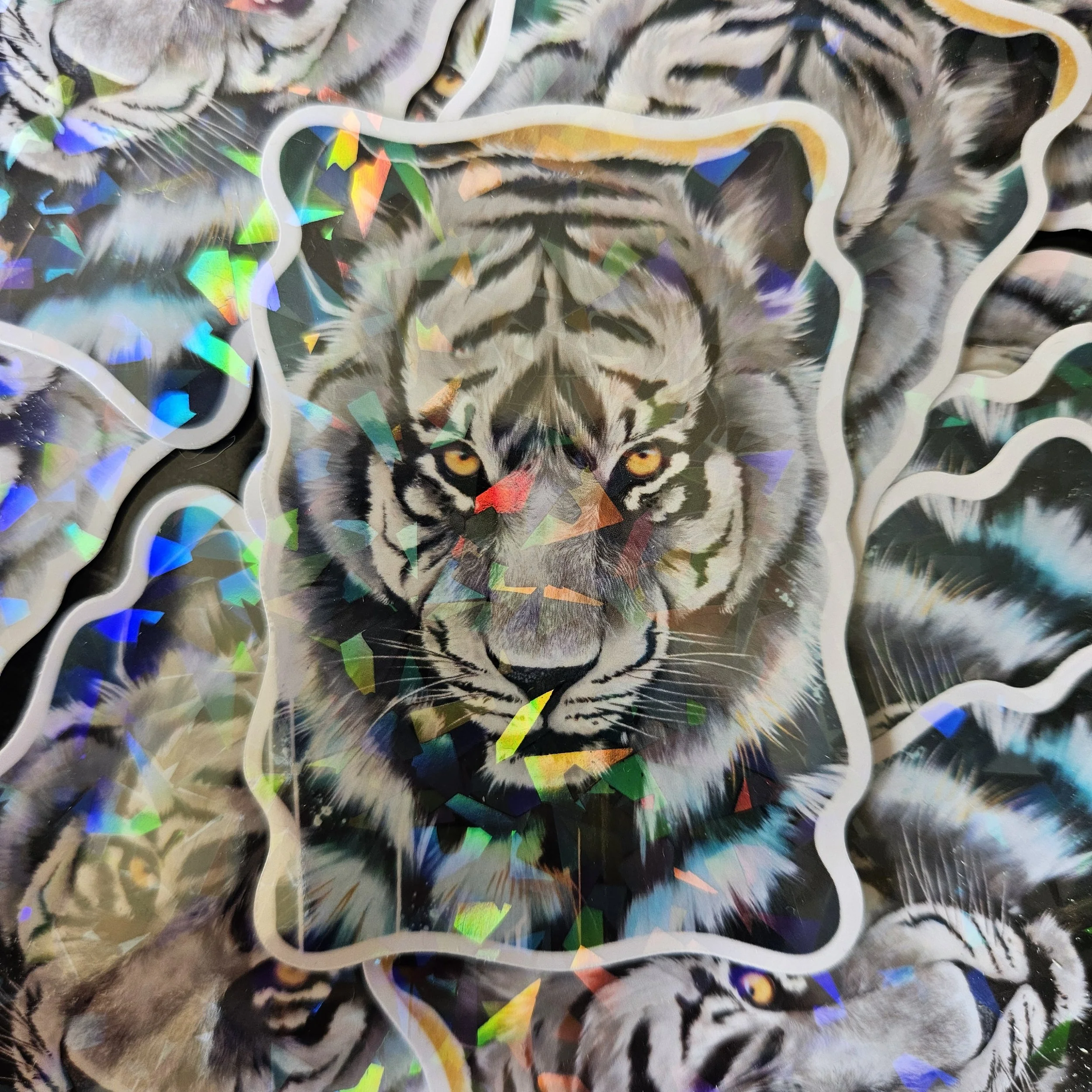 20240624_151048.jpg