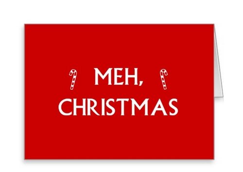 Sarcastic Christmas Card Funny Warm and Fizzy Holiday Greeting Card