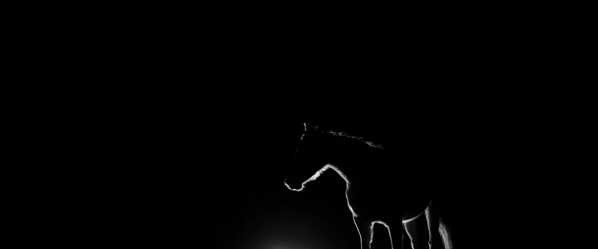 HSC17_PROMO_2 MIN VERSION_0db 4.jpeg